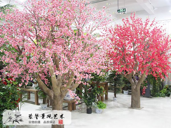 桃花樹