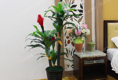 常見(jiàn)的仿真植物