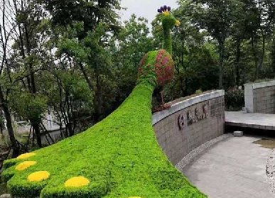 城市綠雕