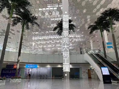 機場仿真椰子樹