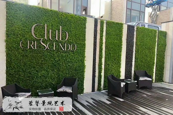 家庭仿真植物墻