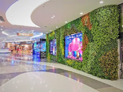 室內商場植物墻