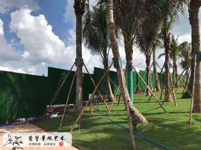 室外圍擋植物墻