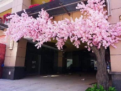 仿真樹商業(yè)化