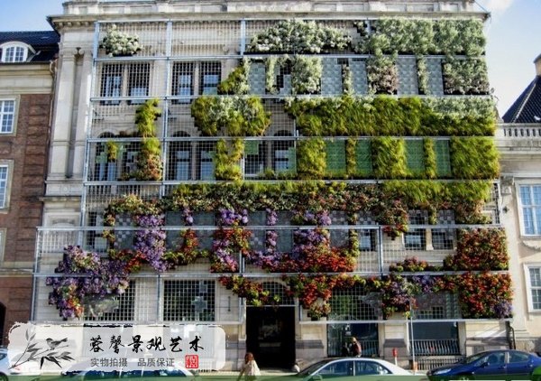 外墻植物墻