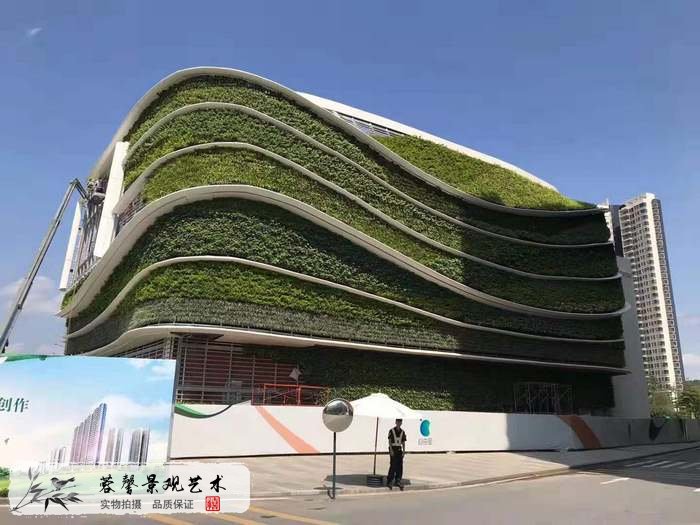 大型室外植物墻