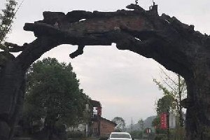 仿真樹榕樹大門