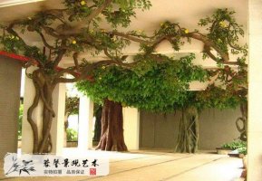 室內(nèi)包柱子果樹