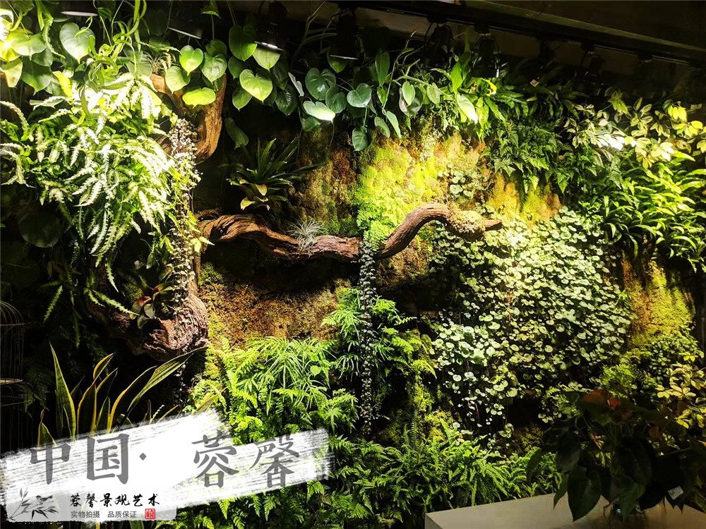 成都垂直綠化案例，泛悅國(guó)際生態(tài)咖啡廳 (1)