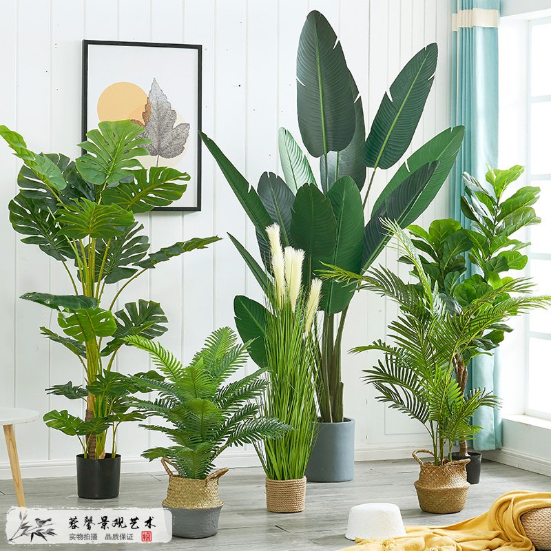 仿真植物藝術(shù)品