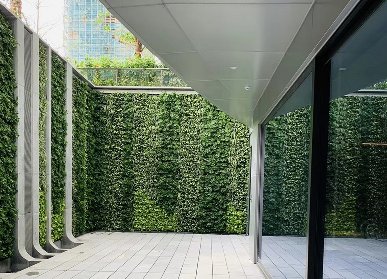 植物墻圍墻
