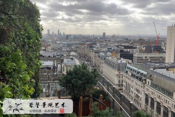 樹屋酒店植物墻