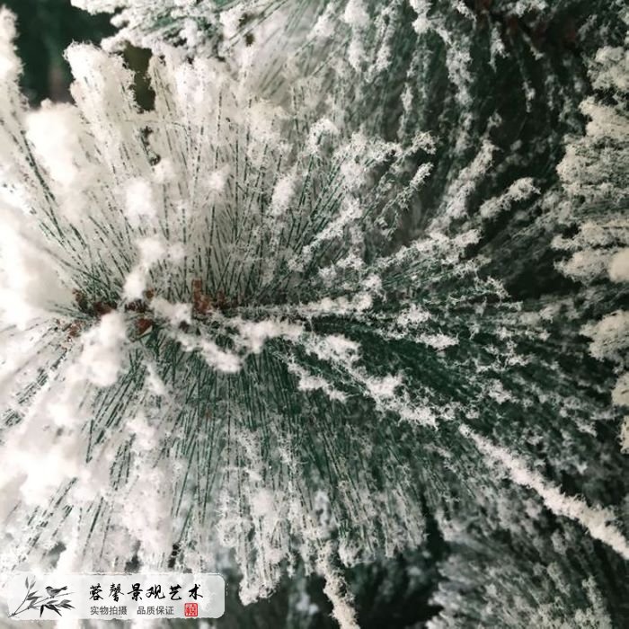 仿真雪杉樹