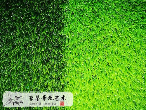 仿真草坪多少錢一平