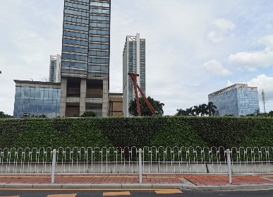 市政街道綠化設計