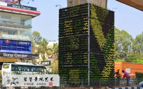 街道綠化案例