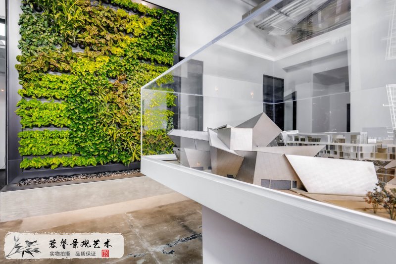 室內(nèi)植物墻設(shè)計(jì)