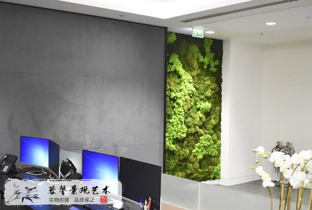 苔蘚墻