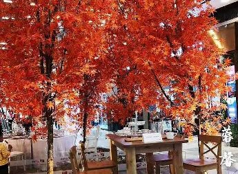 仿真紅楓樹(shù)美陳