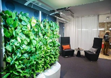 玄關植物墻