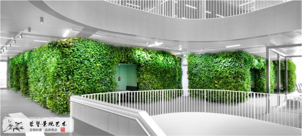 辦公室植物墻