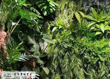 仿真植物品類(lèi)