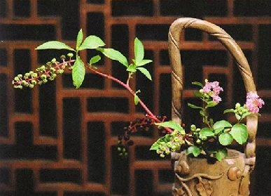 花藝造型