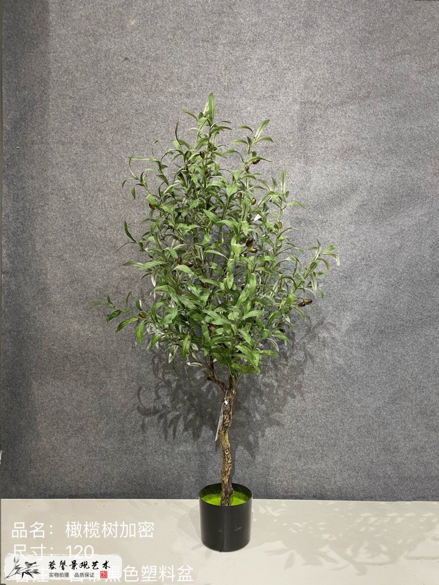 仿真橄欖樹(shù)