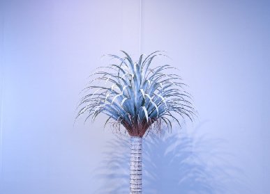 仿真龍血樹