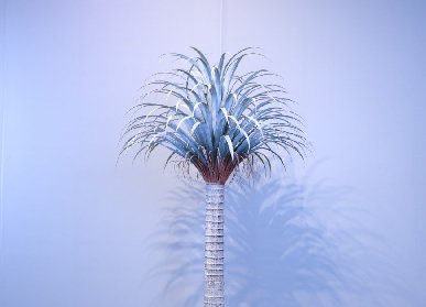 仿真龍血樹